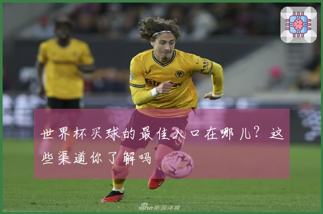 世界杯买球的最佳入口在哪儿？这些渠道你了解吗