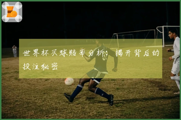 世界杯买球赔率分析：揭开背后的投注秘密