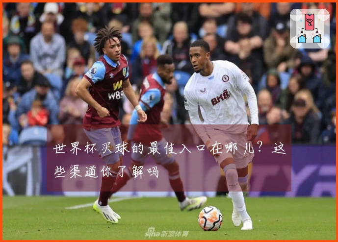 世界杯买球的最佳入口在哪儿？这些渠道你了解吗